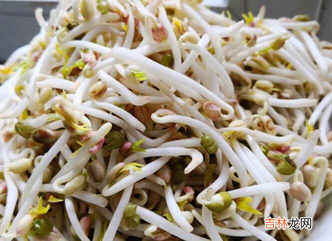 韭菜炒豆芽怎么做好吃