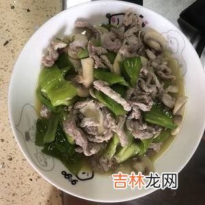 蘑菇炒肉片怎么炒好吃