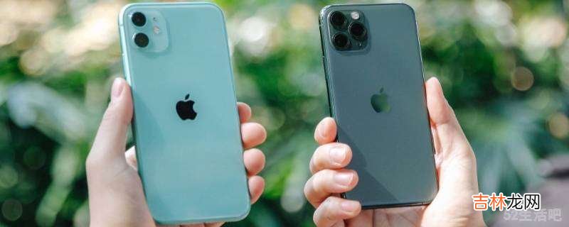 iphone11自拍反向能改吗?