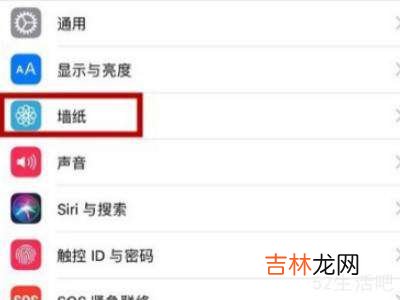 苹果手机个性化主题怎么设置?