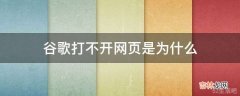 谷歌打不开网页是为什么?