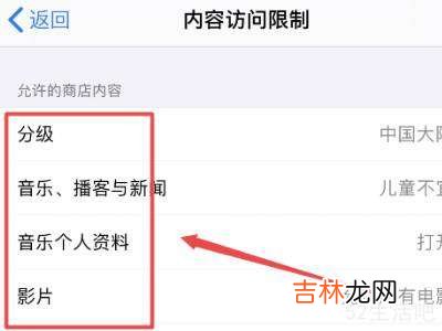 苹果12访问限制在哪里?