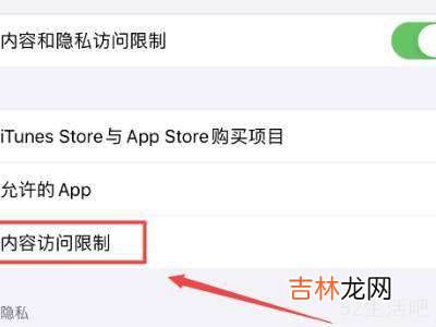 苹果12访问限制在哪里?