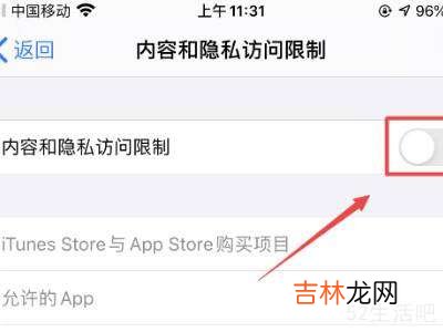 苹果12访问限制在哪里?
