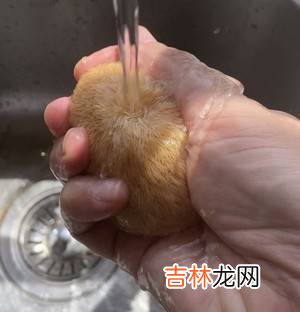 猴头菇怎么炒