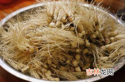 大蒜须怎么炒