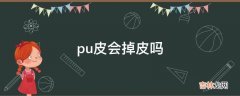 pu皮会掉皮吗