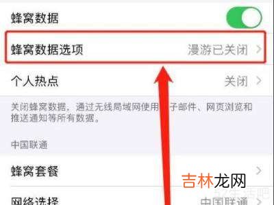 iphone 12关闭5g网络在什么地方?