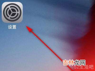 苹果12的信任在哪里设置?
