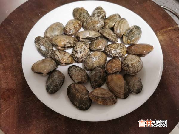 贝壳肉怎么炒
