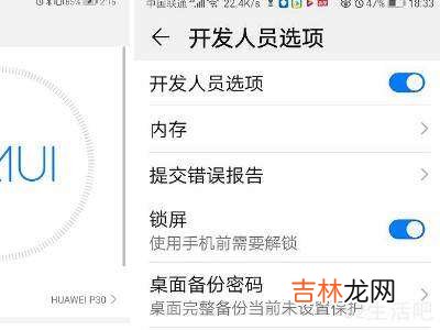 华为手机开发者模式?
