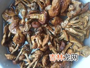 滑菇怎么炒