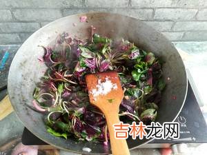 红苋菜怎么炒