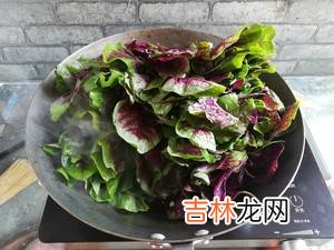 红苋菜怎么炒