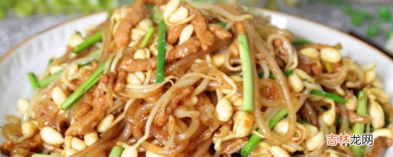 黄豆芽炒肉怎么炒好吃