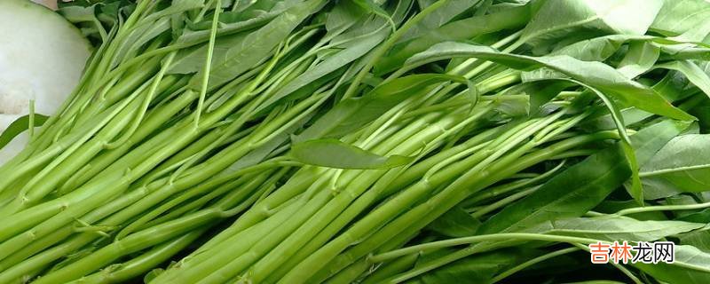 夏季耐热的叶菜