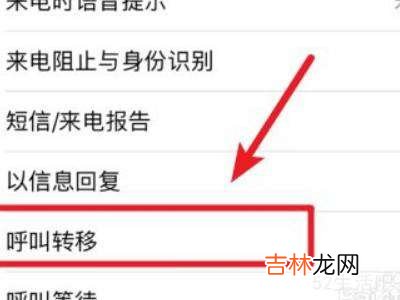 苹果12呼叫转移怎么设置?