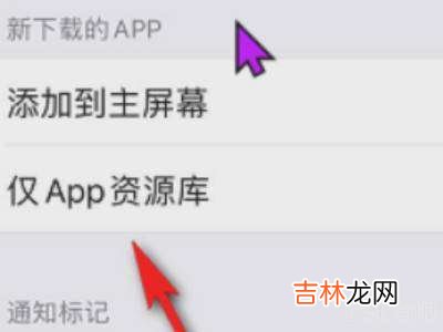苹果app资源库怎么调整?