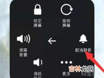 苹果12话筒没声音?