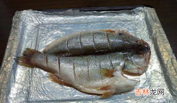 烤鱼怎么做