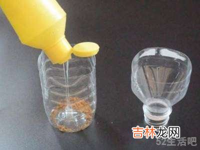 蟑螂能彻底消灭吗?
