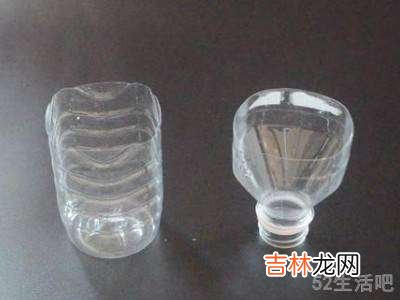 蟑螂能彻底消灭吗?