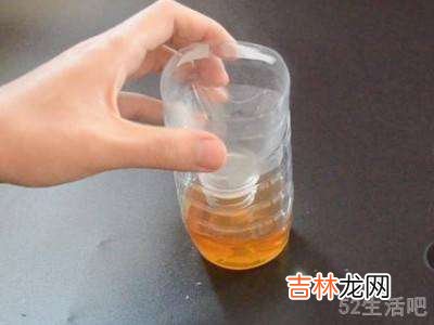 蟑螂能彻底消灭吗?