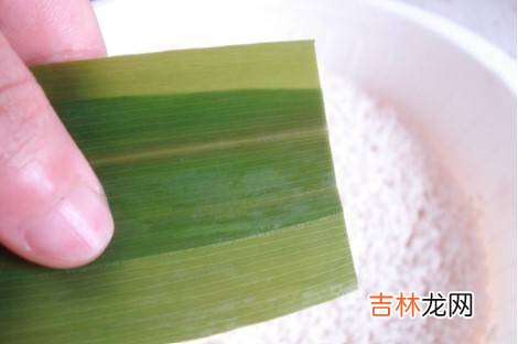 包粽子的方法与步骤图