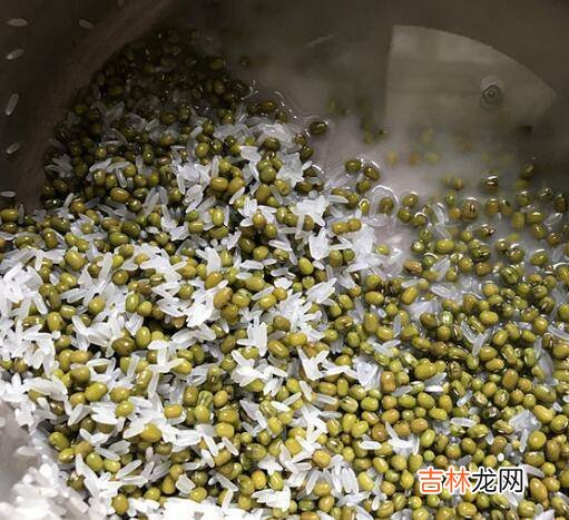 绿豆粥怎么做