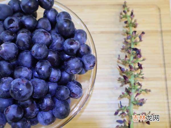 在家怎么做葡萄酒