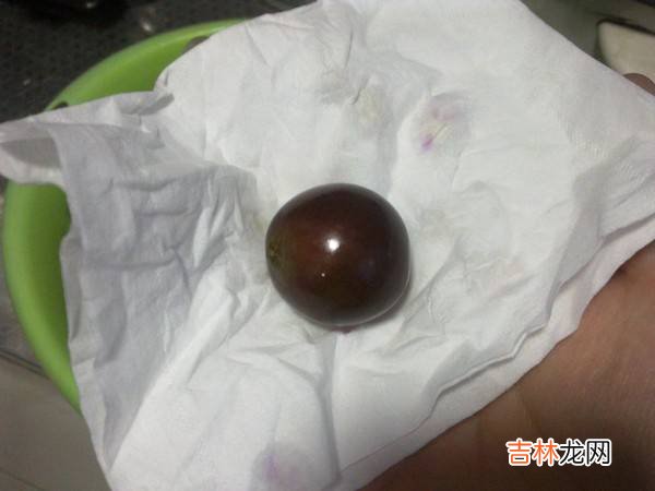 自己怎么做葡萄酒