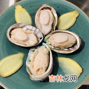 鲍鱼排骨汤怎么做