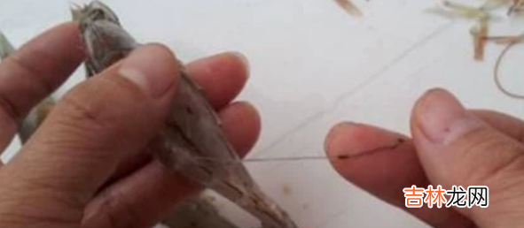 虾线如何快速去除