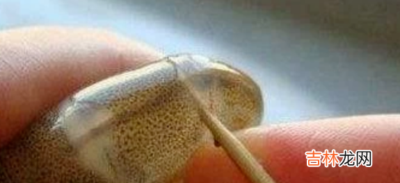 虾线如何快速去除