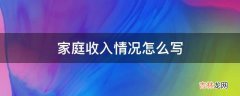 家庭收入情况怎么写