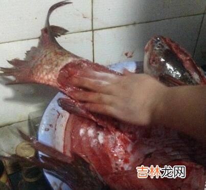 腊鱼怎么做