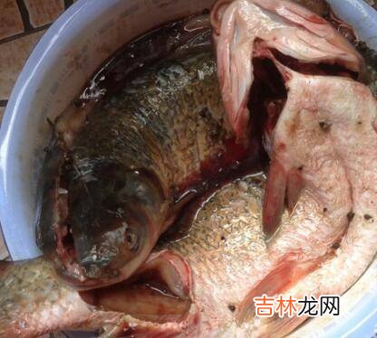 腊鱼怎么做