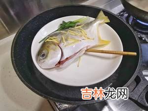 清蒸鱼怎么做