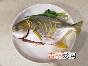 清蒸鱼怎么做