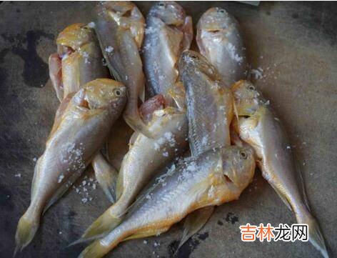 小黄鱼怎么做