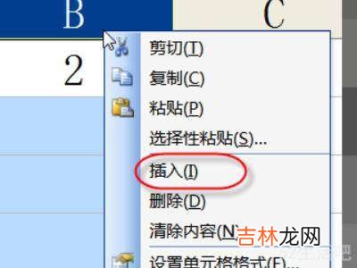 为什么excel插不进去列?