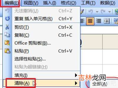 为什么excel插不进去列?