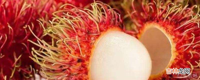 红毛丹果核膜怎么弄掉?