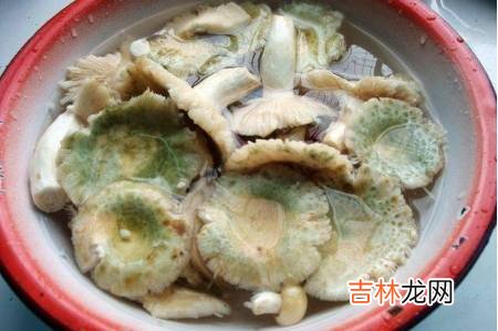 青头菌煮多久可以吃