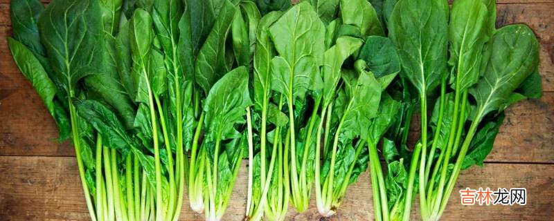 菠菜根是甜的能吃吗