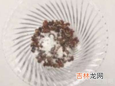 用什么土办法杀死蚊子?