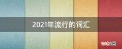 2021年流行的词汇