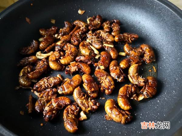 金蝉怎么吃怎么做
