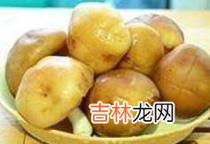 湿香菇怎么炒好吃