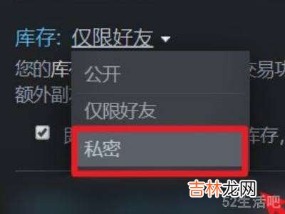 steam不让好友看到库?